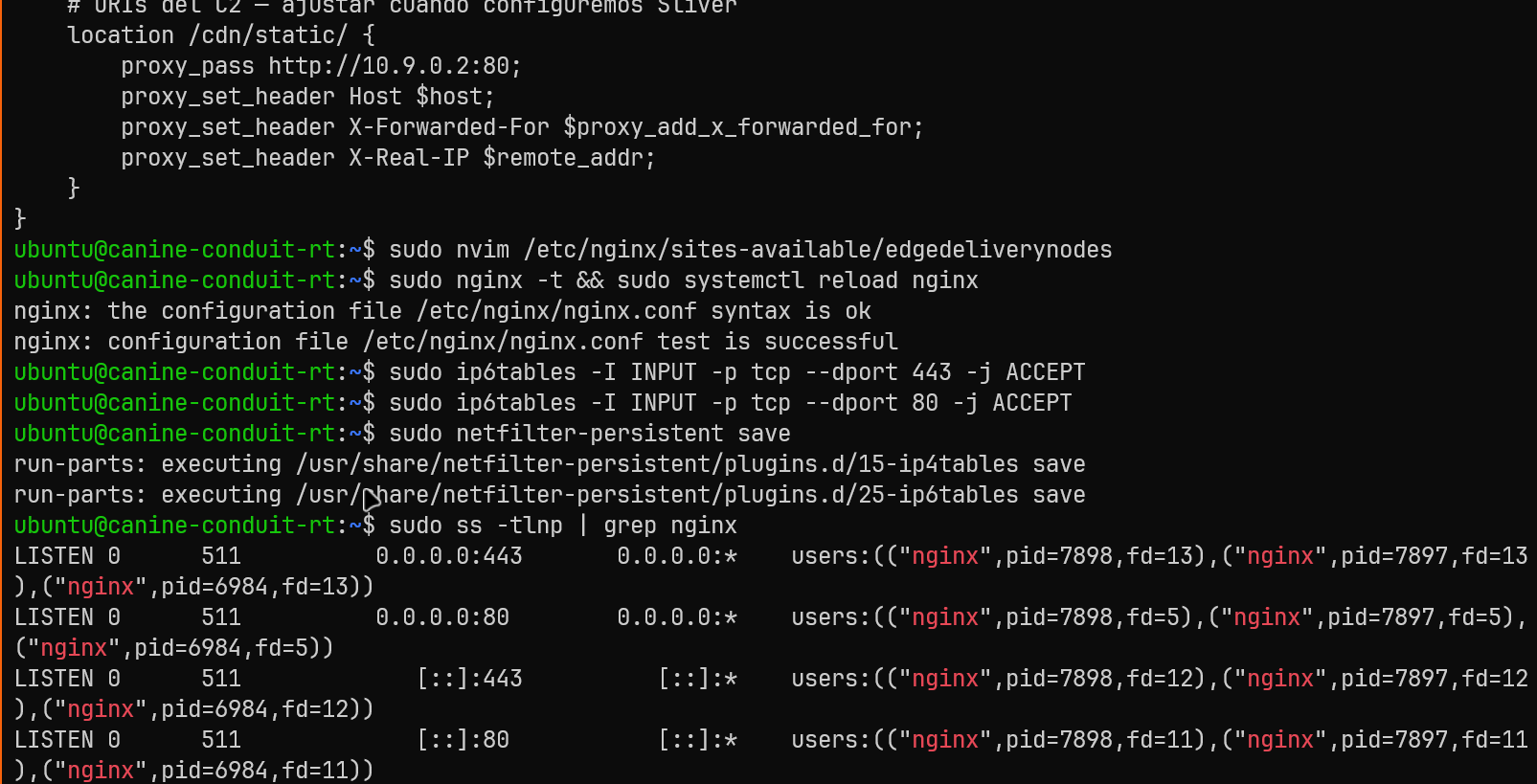 Nginx config afinada