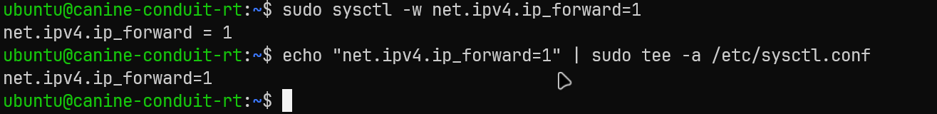 IP forwarding configurado