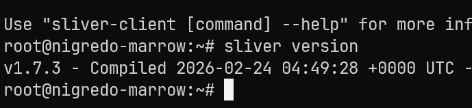 Versión de Sliver instalada