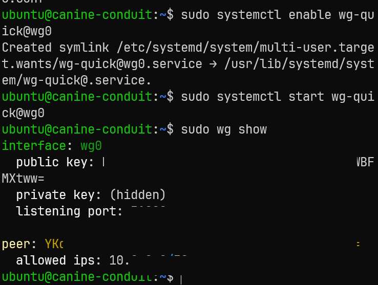 WireGuard arrancado en Synapse