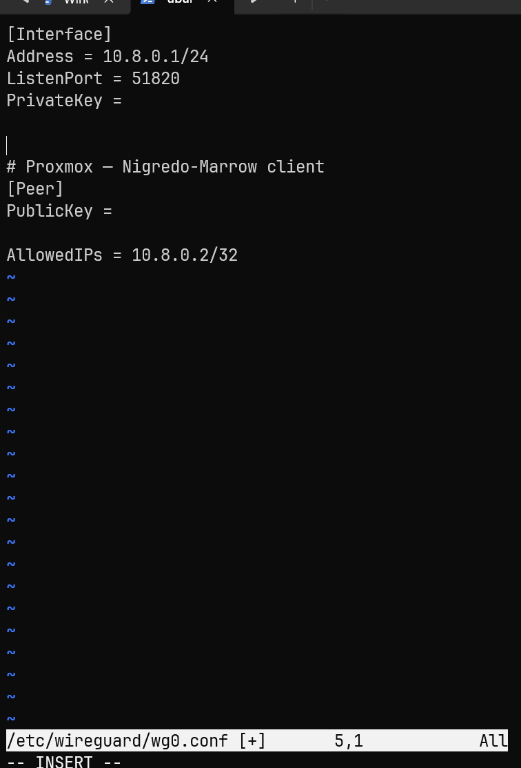 Synapse WireGuard config final