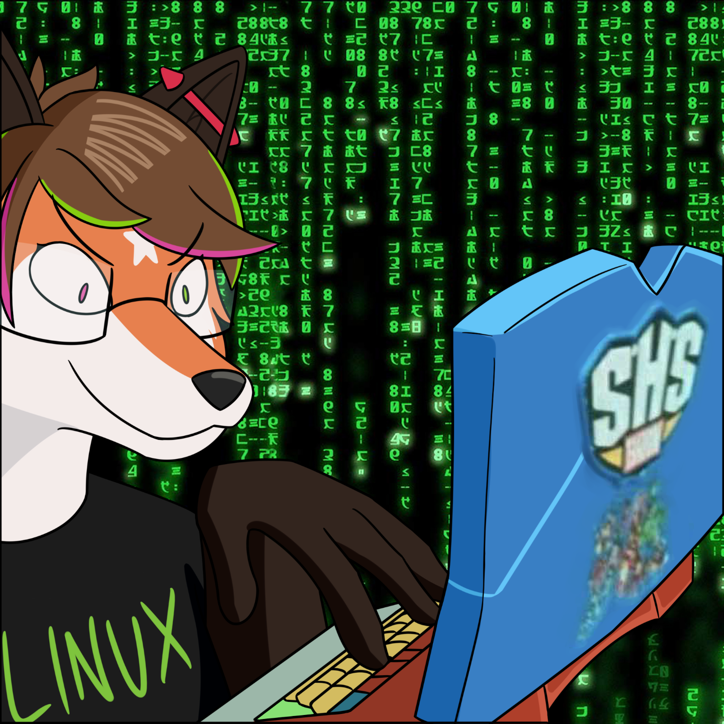 Meme: Xenia hacker